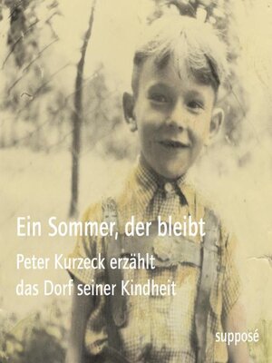 cover image of Ein Sommer, der bleibt